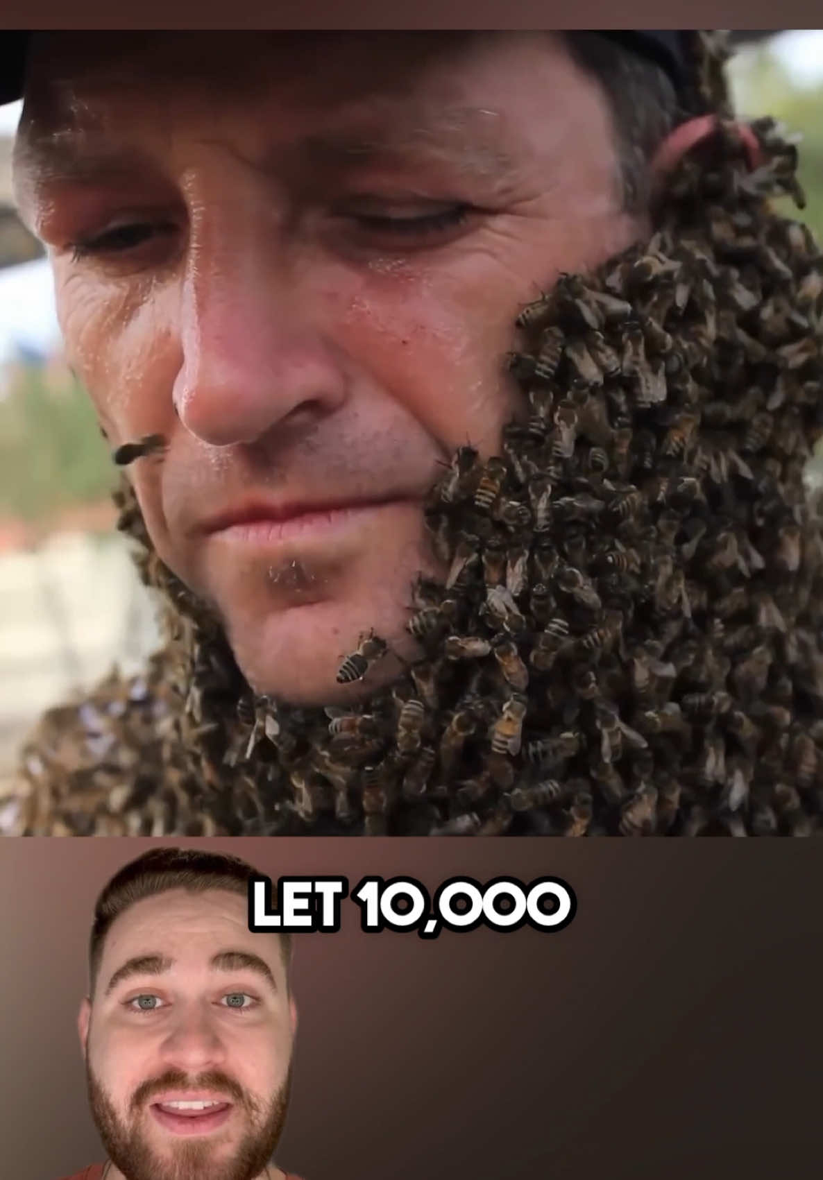 Why People Let 10,000 Bees Crawl All Over Their Face!