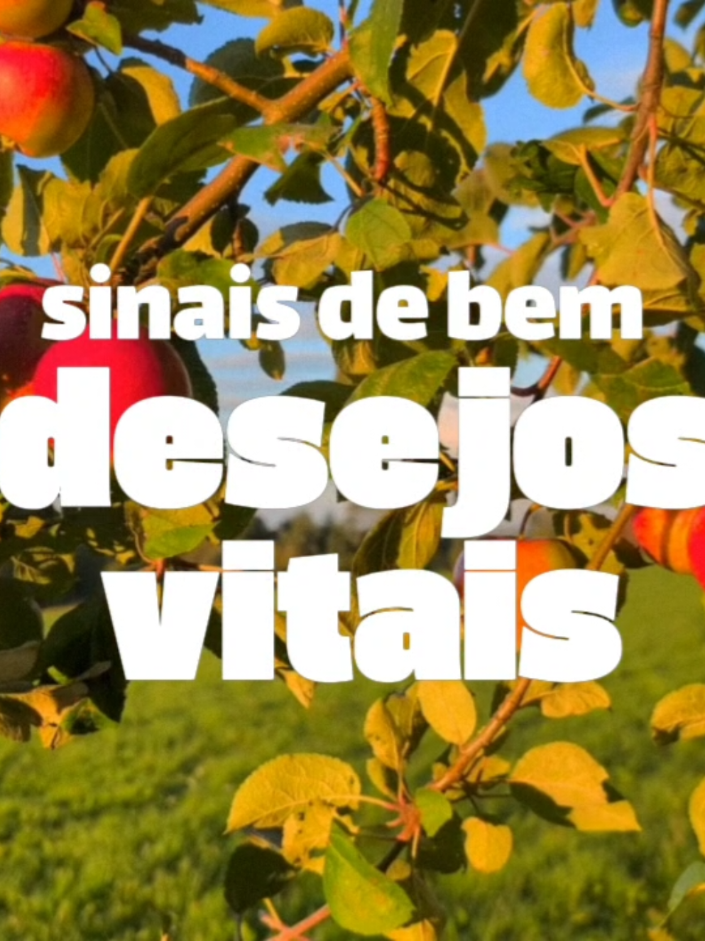 #miltonnascimento #mpb #foryouuuuuuuuuuuuuuuuuuuuuuuuuu #lyricsedit 