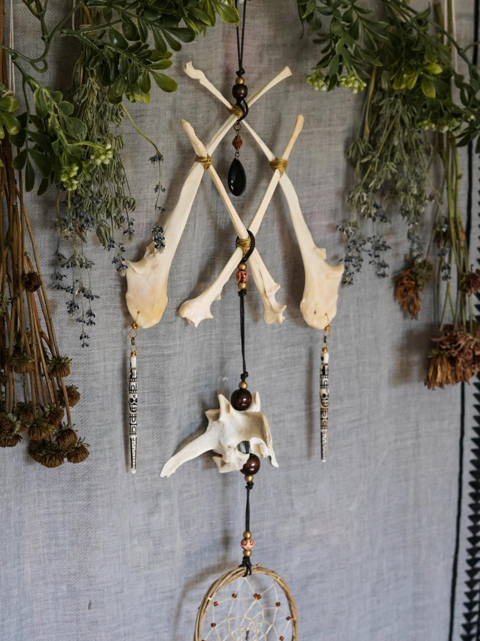 Home protection totems 🦴 Which one speaks to you? 💀 ~ #bones #oddities #witchtok #fypage 