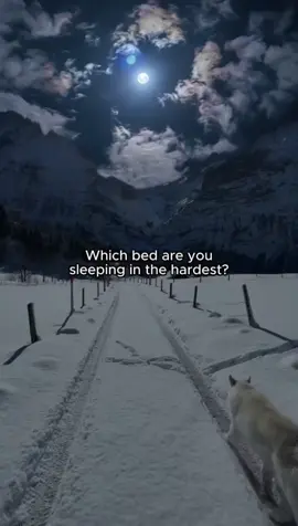 Which bed are you sleeping in the hardest? 😴✨️ #whichbedareyousleepingin #aestheticvibe #whichonewouldyoupick #2020tiktok #nostalgiatok #cozyvibes #chilltok 