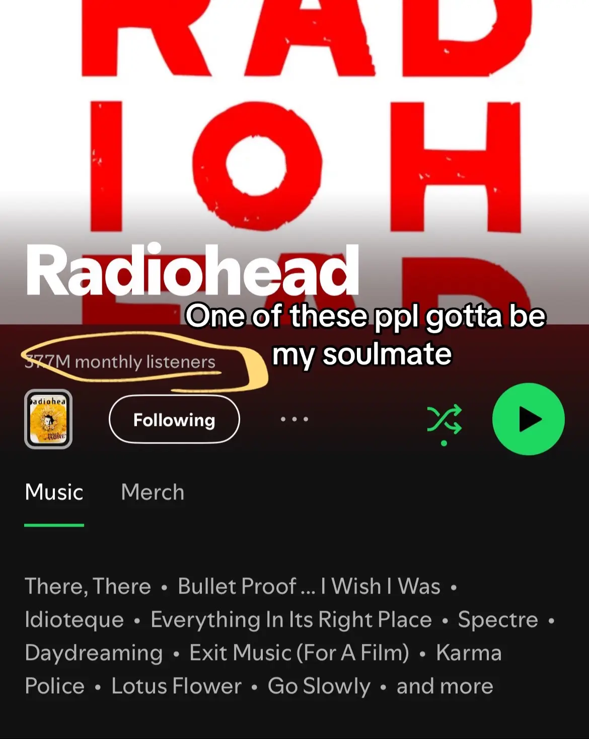 Gotta be #radiohead #incubus #menatwork #mamasandpapas #jeffbuckley #beachboys #beatles #oldies #music 