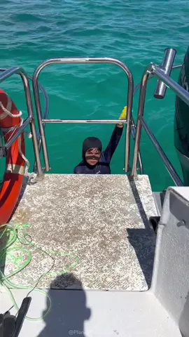 When Fishing Goes WRONG! TikTok's Wildest Bites 🌊🌊🦈 #fyp #foryou #sea #animals #fishing #funny #funnyvideos 