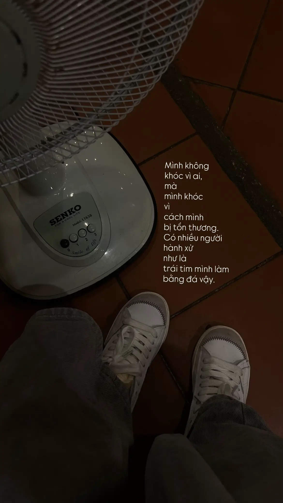 “mấy người đo la tró”