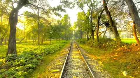#আনিসুর_রহমান_আশরাফী💖💖 #ইসলামিক_ভিডিও_🤲🕋🤲 #viralvideo #vaiprofycaramba 