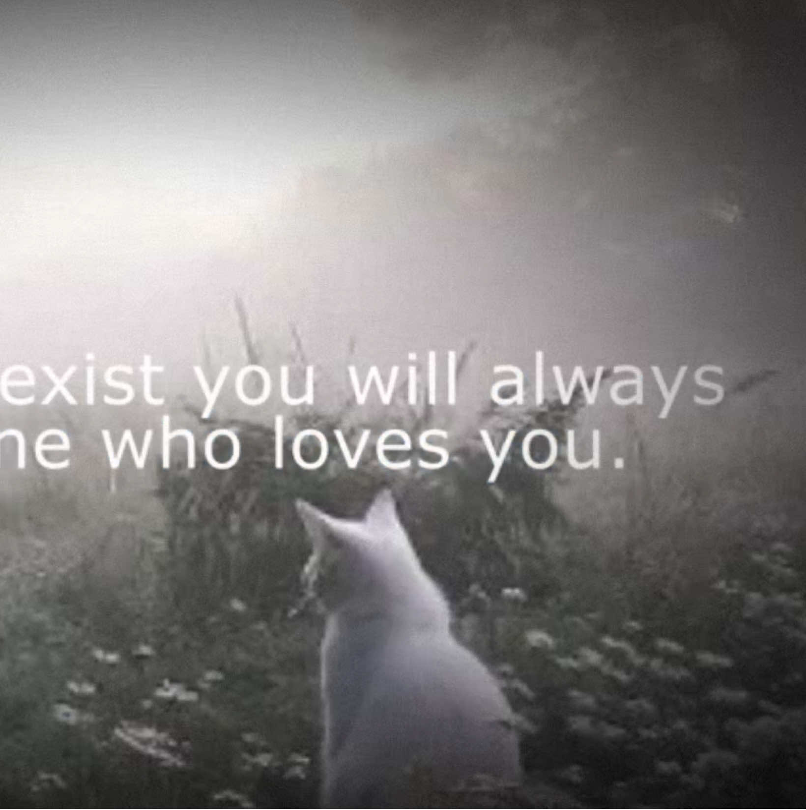 I love u And I will forever will until I die <3 #iloveyousomuch #Love #noof #ily #ilysm #iloveyou #fyppp #fyp #shipost #shitpost #blowup? #pleasegoviral   Hope this Dosent flop :) (I’m gonna go to sleep now.) @D0M1 