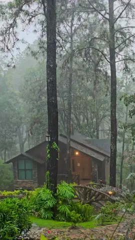 Llovía… y fue perfecto. El bosque, el jacuzzi, el silencio. loma bonita 4 no es solo una cabaña. Es un lugar que te regresa a ti. 🔗 Reserva hoy y desconéctate de todo. #ChaletNórdica #DespertarEnElBosque #CabañasDeLujo #JacuzziExperience #CineBajoLasEstrellas 