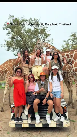 literal chaos 🤣🤣 #safari #thailand #giraffe #kachanaburithailand 