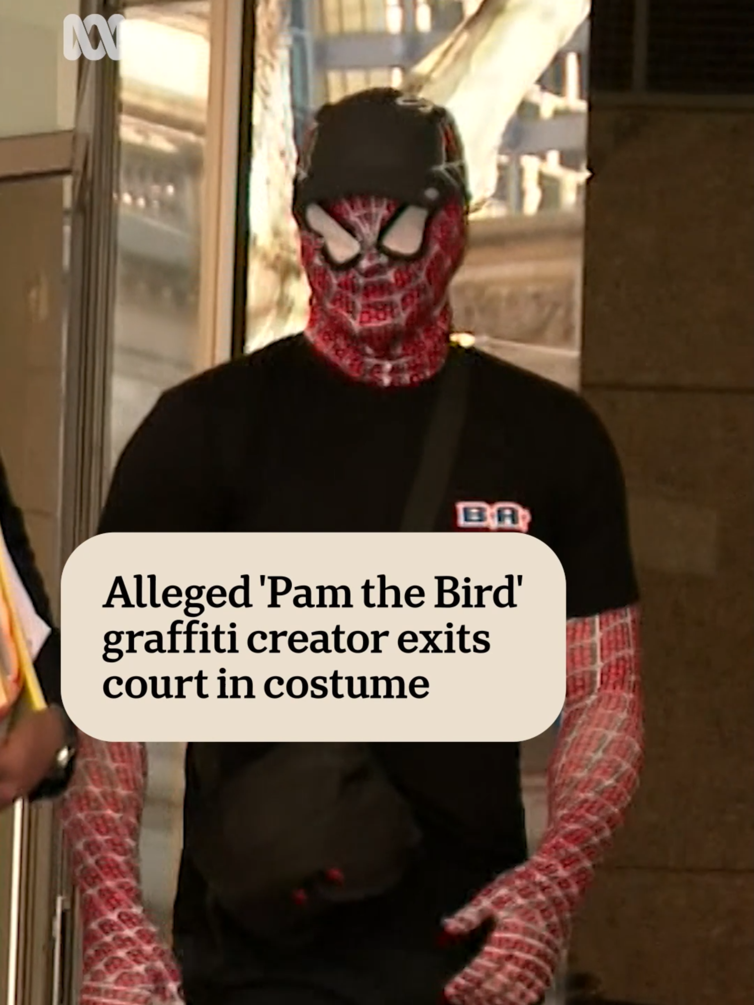 Dressed in a Spiderman suit Jack Gibson-Burrell posed for waiting media as he exited court, before running down the street, appearing to attempt to scale a city building. The antics followed a brief hearing where the court was told Mr Gibson-Burrell was now facing 208 charges. They include damage to the Flinders Street clock tower, Clifton Hill shot tower and train carriages. He's also accused of assault, trespassing, and theft. He'll face court again in February. To personalise your news & stay in the know, download the ABC News app via the link our bio. #ABCNews #PamTheBird #Melbourne #Grafitti