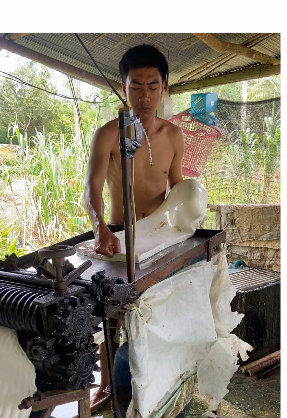 ใช้จักรตบรีดแผ่นยาง #rubber #latex #rubbersheets 