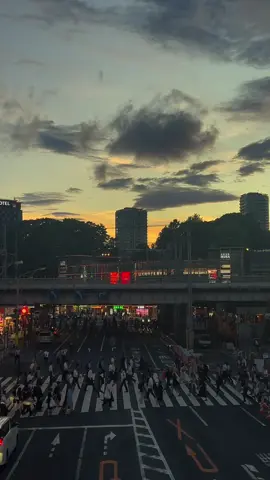 Đã bao lâu rồi bạn chưa về nhà vậy …?