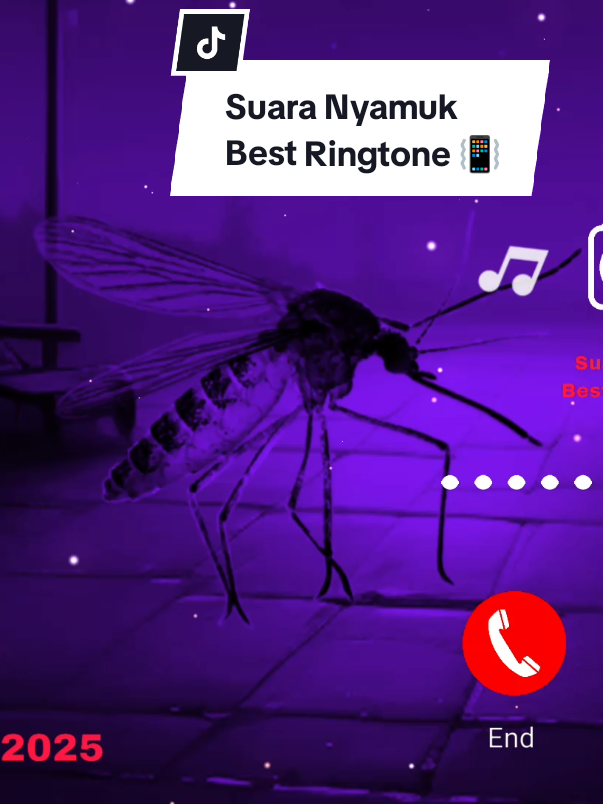Suara Nyamuk | Best Ringtone  #nadadering #nyamuk #notifikasiwhatsapp #ringtone #xybca 