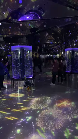 📍 Xpark Aquarium #fyp #taiwan #taoyuan 