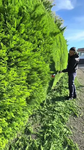#garden #gardening #clean #cleaning #asmr #fyp 