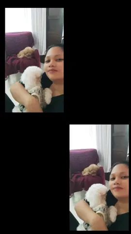 Calvin, Harvey 🥰 #fy#foryoupage 