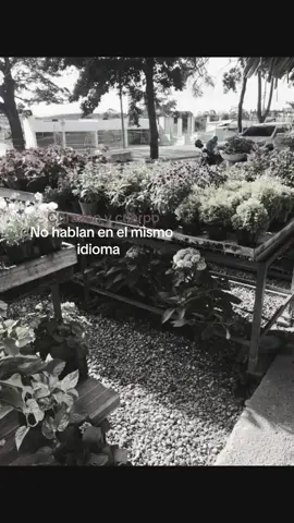 🥀#songs #cancerbero #parati #songs #cancerbero #cancerbero #cuandovayasconmigo 