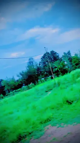 #viral #foryou @زوار رضی بلوچ (007)🥷 @ملک فرحان پوہلہ @Ali Baloch51214 @سردار  شازیب خان بلوچ ❣️🤟(007 @sabirkhan121472 @Malik Kamran @ممنون۔۔شیخانہ💫✨💫✨ @hamad Baloch 👿👿👿👿👿😈😈👿👿👿