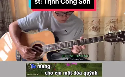 Quỳnh hương - Trịnh công Sơn #xuhuong #viralvideo #taolaoguitar #guitarkhongloi #nhackhongloi 