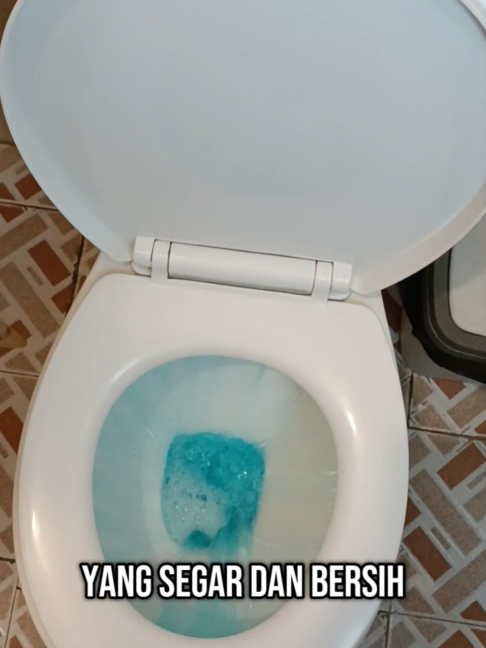 Fresh flush toilet bowl cleaner produk 1 box isi 6pcs, membersihkan toilet mencegah kerak. #toilet #kamarmandi #pembersihkerak #pembersihkamarmandi 