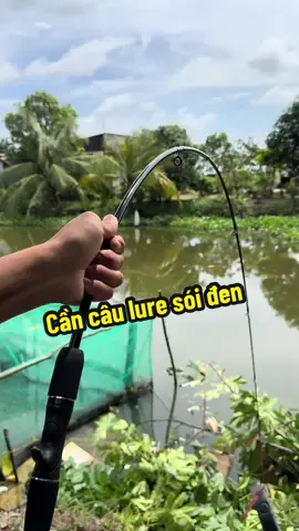 Test cần câu lure sói đen nha#cancaulure #soiden 