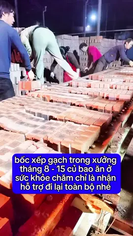 bốc xếp gạch trong xưởng. #timviec #vieclamluongcao #vieclamhanoi #tuyendung #fyp #laodongphotohong 