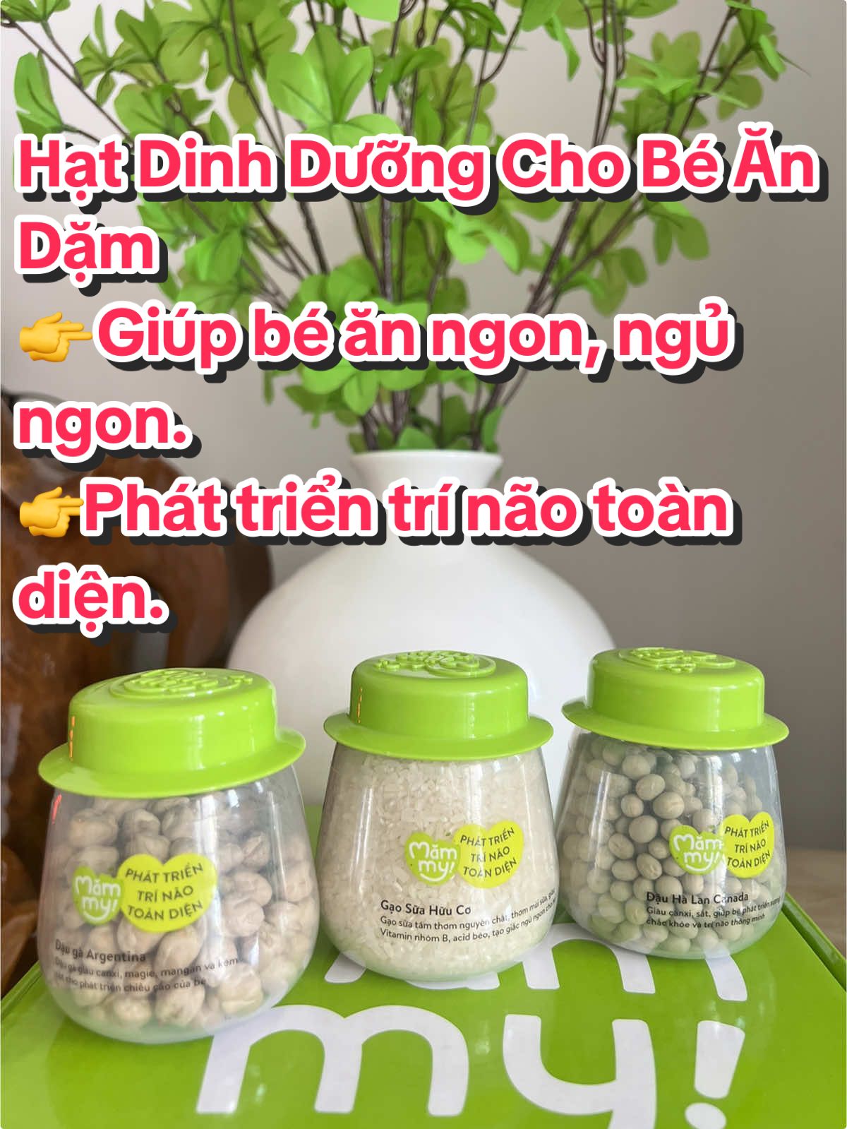 Set 9 loại hạt dinh dưỡng bổ não dành cho bé mới bắt đầu ăn dặm nè các Mom ơi. Cháo nấu thơm hơn, con dễ ăn hơn nè. Bé từ 6m là có thể dùng được nhé! #set9loaihatquymammy #mammy #andamcungbe #sethatmammy #nauchao #hatnauchaochobe 