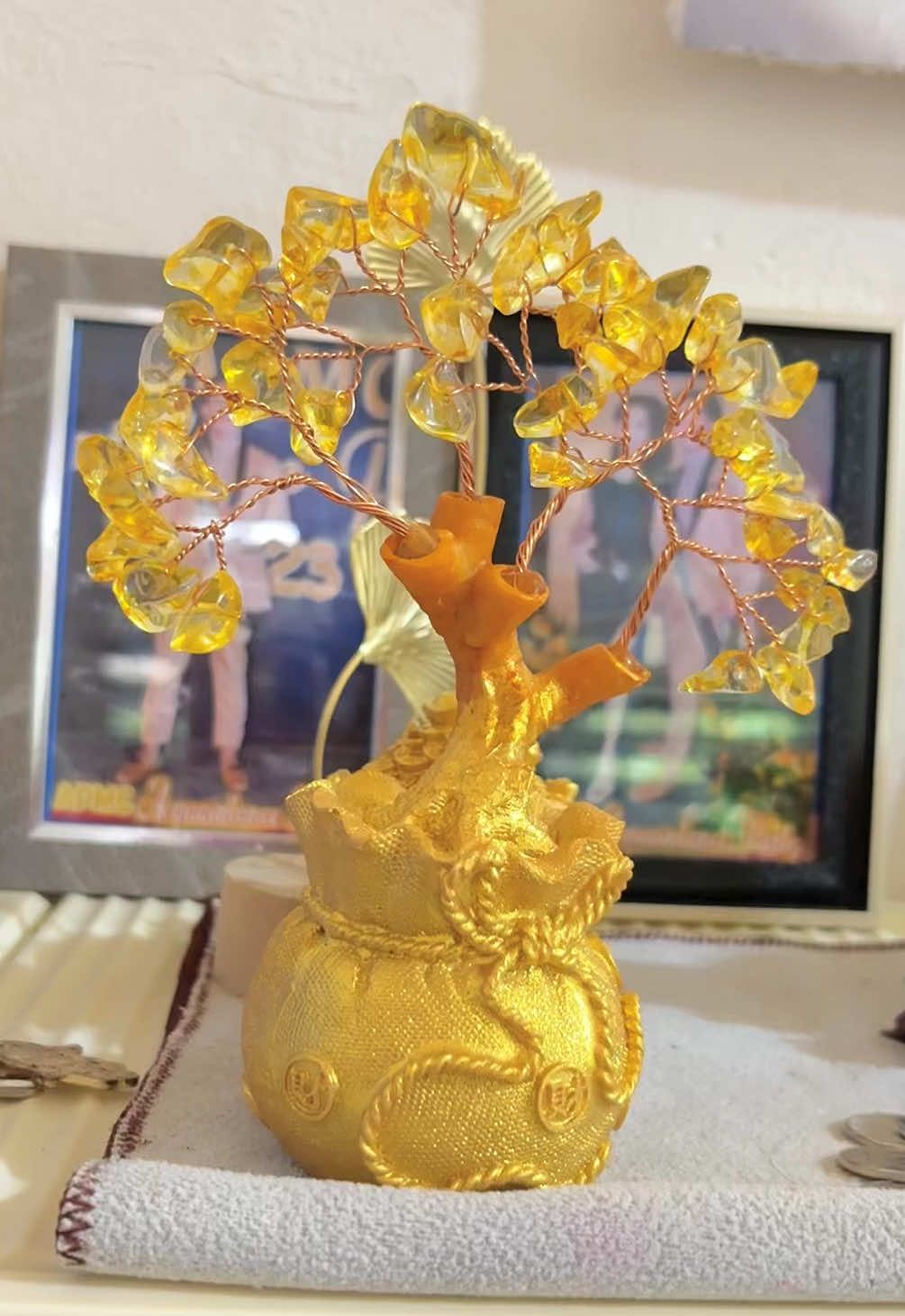 Feng Shui Citrine Money Fortune Tree And Wealth Tree🍀💰🧧  #fengshui #wealth #fortune #citrinemoneytree #citrine #prosperity #abundance #goodfortune #financiallyfree #goodluck #lucky #fyp #trending 
