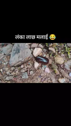 😴😴#hamrodeshhamrosaskriti 