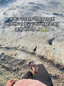 #ইভা কিন্তু পুরাই নাগিন 🐍🐍🐍🐍🐍🐍🐍🐍🐍🐍🐍🐍🐍🐍🐍🐍🐍🐍🐍🐍🐍🐍🐍🐍🐍🐍🐍🐍🐍