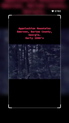 Strange creatures in the wilderness #horror #paranormal #scary #new #animals 