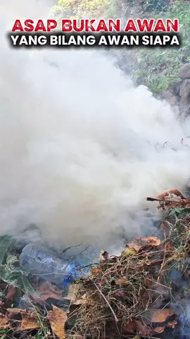 Bakar sampah malah dikira awan 😅 Asapnya tebal banget sampai mirip kabut atau awan Yang bilang awan, coba merapat dulu yaa 🫣🔥 #BakarSampah #AsapTebal #AwanBukan #FenomenaUnik #FYP #ViralTikTok #VideoLucu #AsapSepertiAwan #KontenLucu #KejadianUnik #TikTokHarian #FypIndonesia
