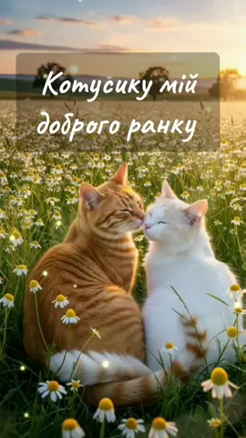 #ранокдобрий #ранок #добрийранок #добрийдень #добрий #моярадість #мояопора #мійвсесвіт #мійвсесвіт💕 #мій #мійкоханий #коханий #кохаю #сумую #обіймаю #обійми #цілую #кохання #україна #перемогазанами💙💛💪 