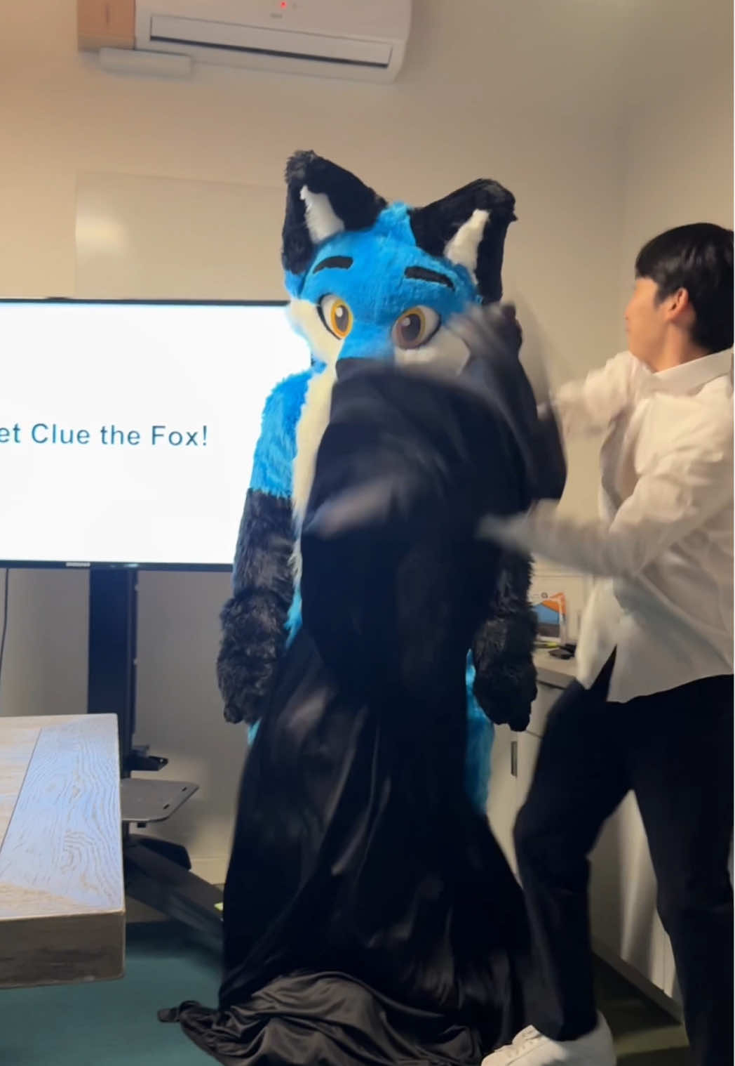 Introducing @ClueTheFox to the Cluely team!!! #startuplife #cluely #corporatehumor #intern featuring @Remy Zee @danielmints 