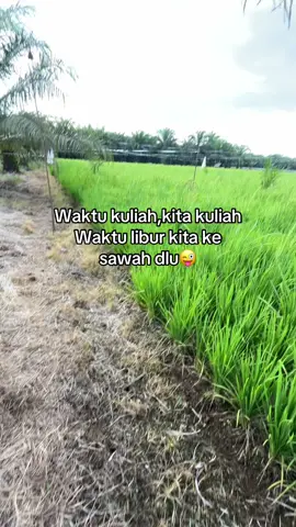 Ada yang mau join gak wkwk🤪#sawah#petanimuda#fyp#djviraltiktok 