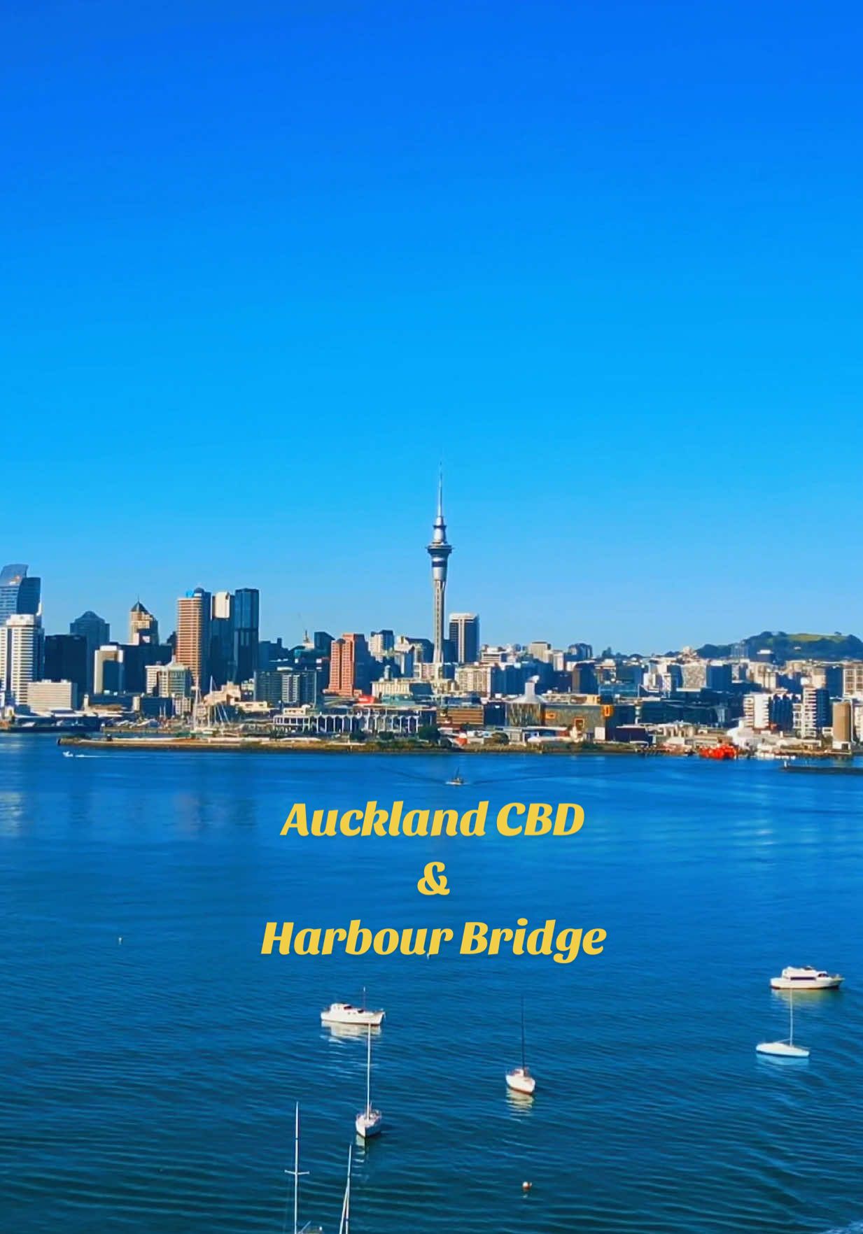 Up in the sky Auckland CBD & Harbour Bridge ❤️☀️ #fyp #auckland #harbourbridge #skyline #newzealand 