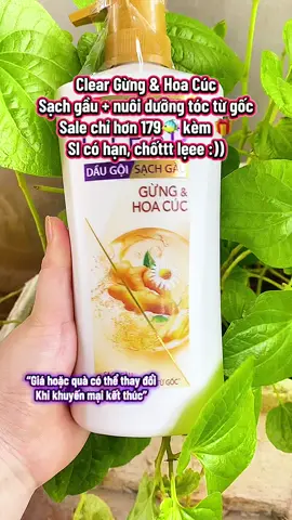 #clear #cleargunghoacuc #daugoithaoduoc #daugoithiennhien #hoptaccungUnilever #phunuvacuocsong #muataitiktokshop 