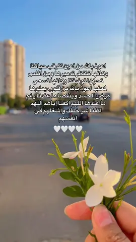 🤍🤍🤍#جمعة_مباركة_عالجميع #غزالة🤎🦌 #صباحكم_سعادهـ🌸🍃 #مرسين_تشارشي_اول_شارع_السوريين #حالات #مرسين_تشارشي_اول_شارع_السوريين #مرسين_تركيا_سوريا_العراق_فلسطين 