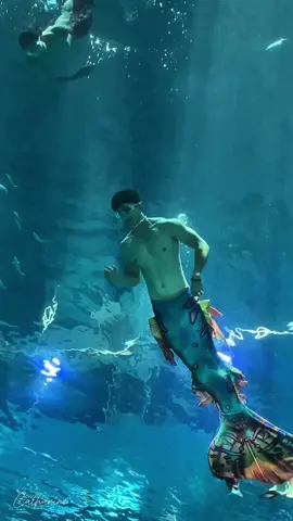Tui mà giàu tui xây nguyên cái thuỷ cung trong nhà bắt mấy ảnh bơi bơi hoài ngắm chơi vậy đó #xuhuong #vinwondersphuquoc #thuycungphuquoc #tienca #fyp #dulich #phuquoc #CapCut 