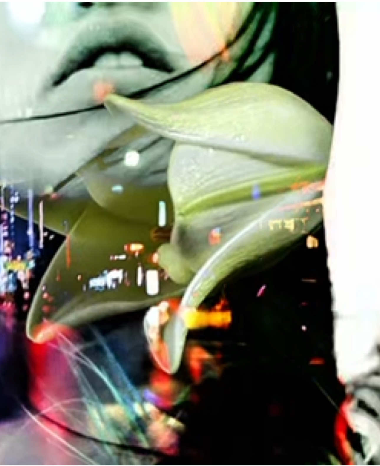 #deftones #cherrywaves #edit #mixedmedia #flowers #targetaudience 