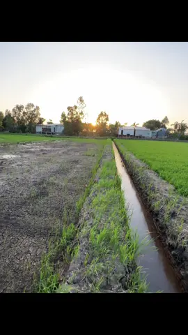 vì sao thế…!#nhactamtrang #phamtruong 