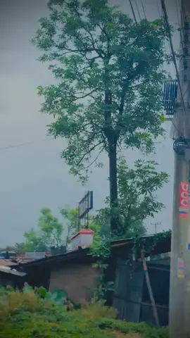 #রুসে বিদায় দেও গো মাইজি জাইতাম শুসুর বাড়ি  জাইতাম শুসুর বাড়ি