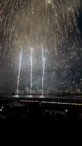 淀川花火大会ラスト #お祭り #祭り #花火 #花火大会 #淀川花火大会 #天神祭 #夏 #思い出 #満ちてゆく #藤井風 #日本 #大阪 #festival #japan #japon #japanese #summermashup #fireworks #osaka #anime 