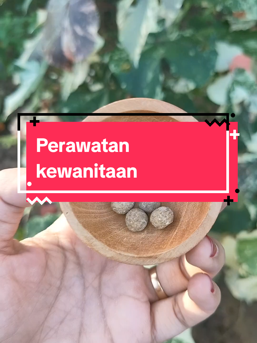 #perawatan #perawatankewanitaan #herbal #gurah #wanita #pinangmuda #manjakani 