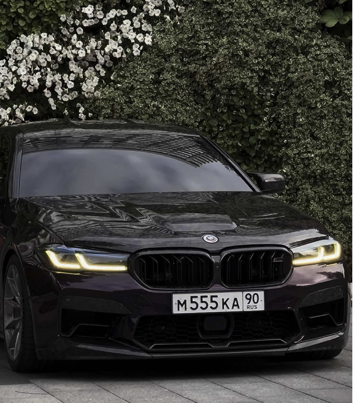 нарезки | треки | фото в тгк - ссылка в шапке профиля #bmw #m5 #edit #velocity_squad #purple #dreamcar 