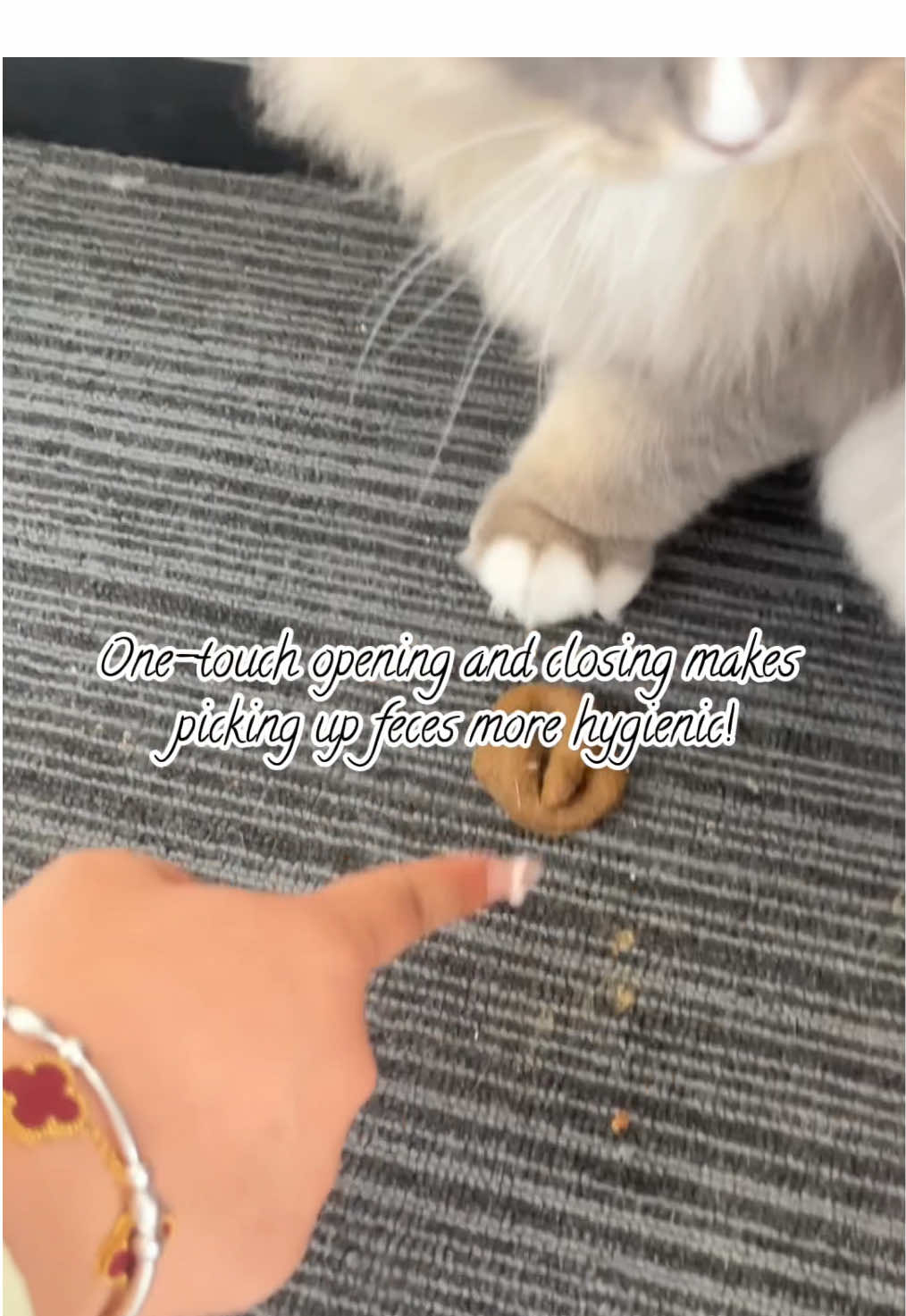 Bring your own garbage bag and seal it up and throw it away after picking up the garbage!#dealsforyoudays#cat#pet#kittensoftiktok#fyp#catlover#tiktokshopcreatorpicks#cute#funnycats#LIVEKEY @LIVEKEY 