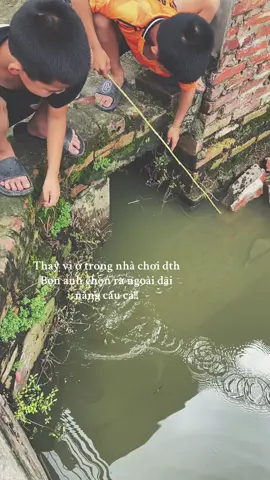 😌#chillmotchut#tuoitho#caucarophi#cautunhien#shimatre#caucagiaitri#stt#tungfaconer