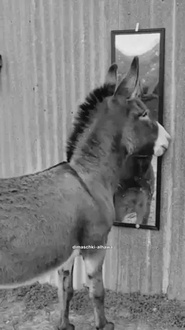 #لما تقدم للناس من كل قلبك وتكتشف أنهم ما بيستاهلو#tiktok #fyp 