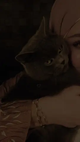 🥺🖤