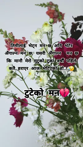 #creatorsearchinsights #yuvarajchhetri1 #funny #brokenheart #tutekoman1238 