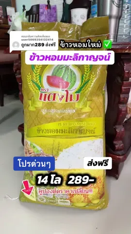 ตอบกลับ @user5069354132414 ข้าวหอมมะลิกาญจน์14โล#ข้าวหอมมะลิ #ข้าวหอมมะลิตราแตงโม #ข้าวหอมมะลิกาญจน์ #ป้ายยาครอบครัว #ttsร้านใหม่ลดแรง  @น้องปุ้ย ปลายิ้ม  @น้องปุ้ย ปลายิ้ม  @น้องปุ้ย ปลายิ้ม 