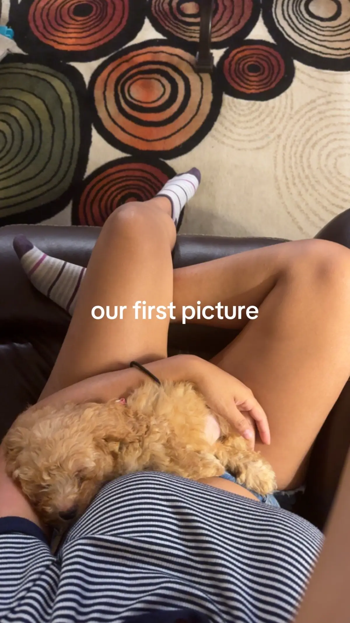 They grow up so fast 😭🥺 #mylittlebaby #spider #maltipoo #fypシ 